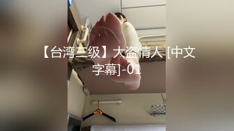 【台湾三级】大盗情人 [中文字幕]-01