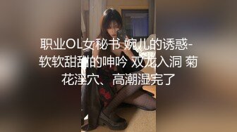 职业OL女秘书 婉儿的诱惑- 软软甜甜的呻吟 双龙入洞 菊花淫穴、高潮湿完了