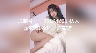 91制片厂，91CM201 私人玩物 1080P - 陆雪琪