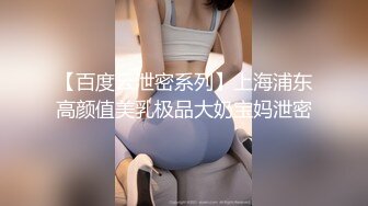 【百度云泄密系列】上海浦东高颜值美乳极品大奶宝妈泄密