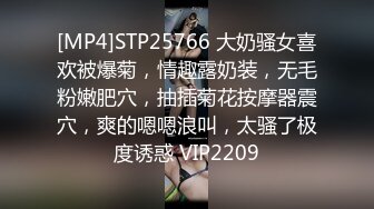 [MP4]STP25766 大奶骚女喜欢被爆菊，情趣露奶装，无毛粉嫩肥穴，抽插菊花按摩器震穴，爽的嗯嗯浪叫，太骚了极度诱惑 VIP2209