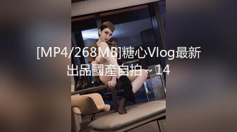 国产AV 糖心Vlog 淫欲女房东精液收租