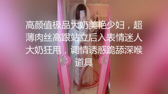 高颜值极品大奶美艳少妇，超薄肉丝高跟站立后入表情迷人大奶狂甩，调情诱惑跪舔深喉道具