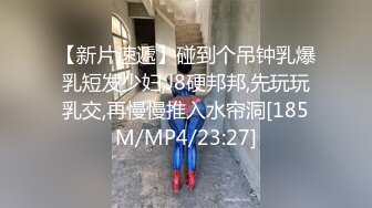 96超级床上接班人（国语中字）